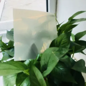 EVA��ˮ�� �𱦷�ˮ ������װ�� �͸����� ������