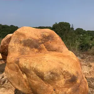 供应漳州 园林景观石 定制风景石 假山石