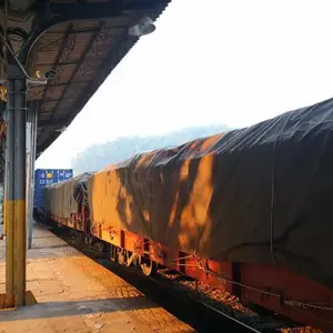 ����Ʒ �й������¹�����˹�����������������50�־�ƫ����ϩ��Ʒ