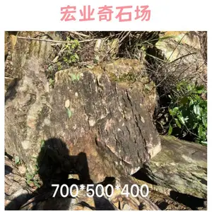 ���־���ʯ����������/ǧ��ʯ����������/ǧ��ʯ����Ǯһ��