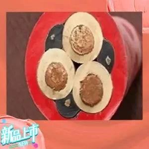 铠装同轴电缆75-17SYV22-