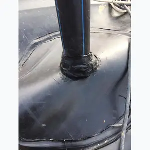 �������ϳ���ֱ�� ɭ̩���� ����Ĥר��KS���۽���