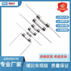 东莞国闽厂家引线双帽玻璃快断保险丝管F1A 2A 3A 5A 6.3A 20A 250V3.6x10