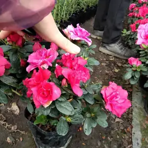 ��Ʒ�������ۣ����õ�����飬�����õı���ʱ�ž�