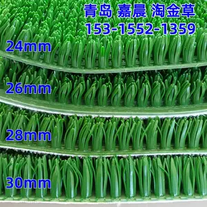 粘金草 沙场河道淘金增金毯沾金草吸金毯捞金草坪工厂