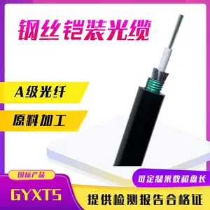 GYXTS-12B1室外架空防鼠鸟啄光纤2/4/6/8芯林区一圈钢丝铠装光缆