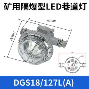 石膏矿、石灰石井下矿、大理石井下矿用 LED 巷道灯(DGS 系列)