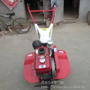 ����С�������� ˮ����Ϳ�С�͸��ػ� ���������ͷ��ػ�
