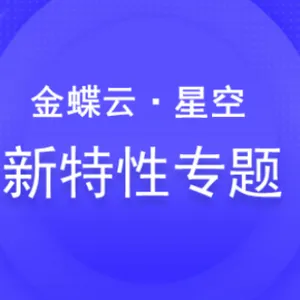 静海区2022金蝶云星空******亿企上云 欢迎咨询 亿企上云供应