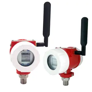 物联网定制防爆NB-IoT压力传感器仪表4G无线压力变送器LoRa控制器