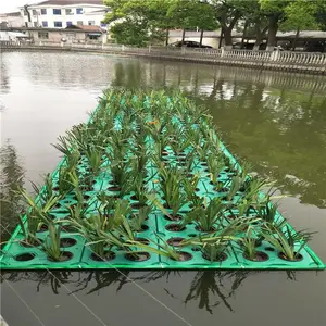 ��԰�ӵ���ˮ��ˮ���̻��˹���̬����