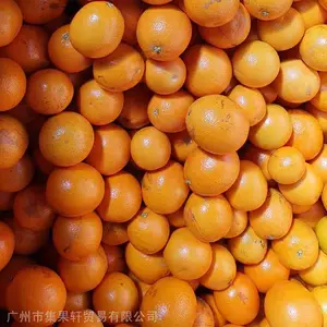 南非新橙夏橙散装2级3级80头105头小果 进口水果批发货源