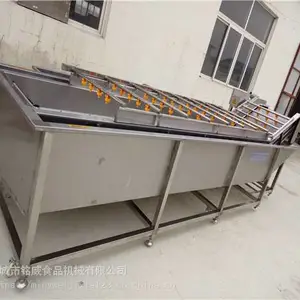 香椿芽清洗机 蔬菜清洗机厂家 气泡式香椿芽清洗机厂家