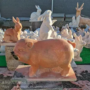 鐭抽洉灏忕尓鑽夊潽鎽嗕欢 鏅氶湠绾㈢煶澶寸尓 ***鐚 鍗佷簩鐢熻倴鐚姩鐗╅洉濉