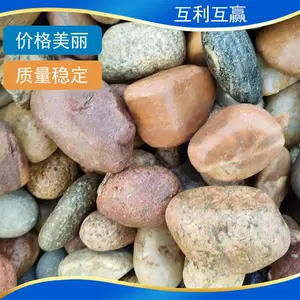 供应 园林景观造景 变压层垫层鹅卵石 滤料用石子 一吨起发器垫货