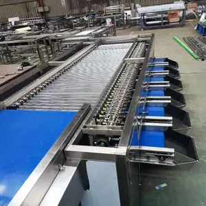 长枣选果机 水果大小分选机 胡萝卜滚杠式分拣机