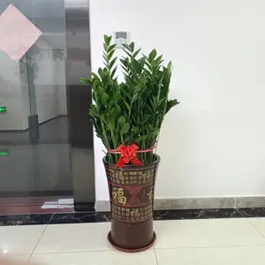 �̻����� ����԰���ճ����� �����޼���ˮʩ�� ȫ���̻�ά���н�
