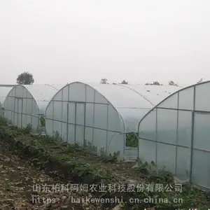 ���ҹ��ﾭ�����ó���ֱ��