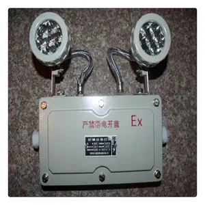 �ڰ���ӦBAJ52˫ͷ����Ӧ����***�۸� LED����˫ͷӦ����