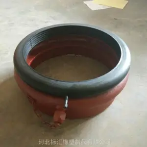 �ӱ���� ��̥���ɳ��� ������Ӧ���� �ߵ�ѹ����