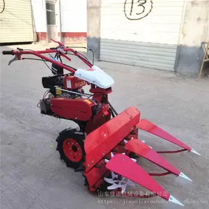 �����Ŀݲ��ո�� ţ��ͷС�͸�ɹ�� ˫�Ų����ո��