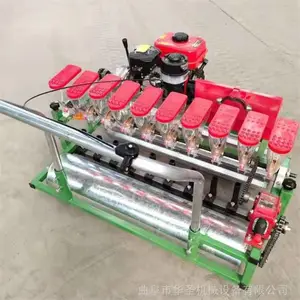 �����ܲ��۲���˲��ֻ� �������ִ�о�����
