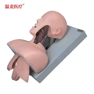 ����ҽ��J50�������ܽṹ���ѵ��ģ�Ϳڱ�ǻ�������Ȳ�����ѧ��ʾģ����