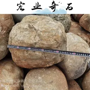 ��ز���Χ�ߵ�׺ʯ�����Ͷ���ʯ�ӵ�ʯ����ɽ����ʯ�г�ʯ��