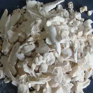 骨质瓷骨炭销售