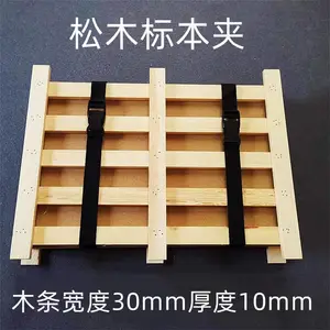 ���ֲ��걾��50*40cm ��ľ�걾��