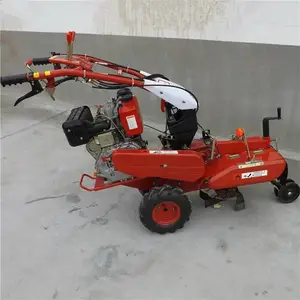 ���ʹ�п��������� ����ʽ��¢�� ����������