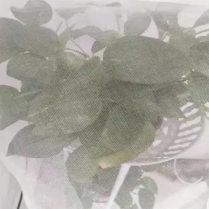 �߲˴����԰������ ��ֳ��ɴ��60Ŀ͸��͸��