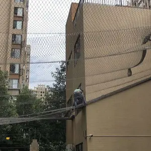 ���� ����԰ �������� �̳� �������Է�������ȫΧ���������������̩