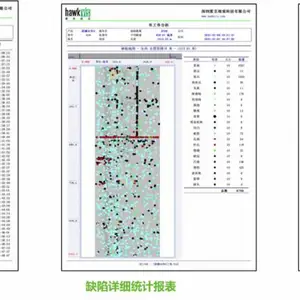 生瓷带表面缺陷检测系统—霍克视觉人工智能解决方案
