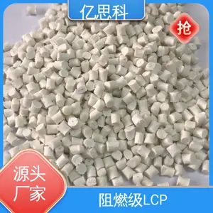 ��˼�� ������ǿ LCP���Ͽ��� �͸���310�� ��������