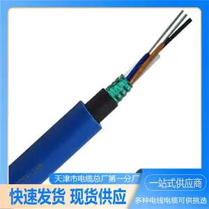 ZR-KVYP 24*1 ��ȼ���ε��� ������ϸ �����ȶ� �ͻ��ˮ