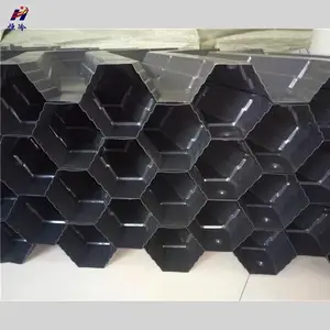 ��Ϻ�����廯��ֳ_��Ϻ��_С��Ϻ�˹��� �ӱ�����