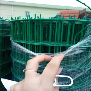 ��ɫ��˿�� ��ֳ��˿������ ��ɫ����Χ�� �ֻ�