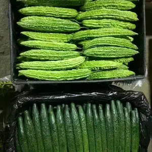 惠州潼侨蔬菜配送批发/惠州潼侨蔬菜批发/惠州潼侨批发采购蔬菜就上优菜王APP