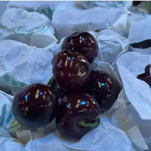 �ɣ���ˮ������Ӧ���̣�Ӧ��ʱ��ȫƷ��ˮ�������������ϣ���