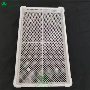 供应万兴畜牧果蔬冷藏盘 海鲜草药晾晒浅筐 单冻器