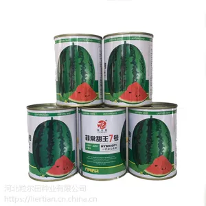 水果蔬菜种子花皮椭圆大果大红瓤甜王西瓜种子高产粒尔田牌菲常甜王7号西瓜