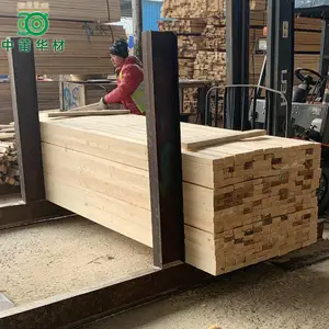 ������ľ�Ĺ�� ��������