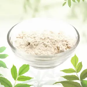 花生蛋白粉 花生蛋白粉作用与用途 高纯度高含量营养