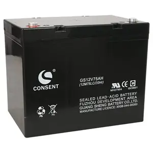 ��������FM12-100��ѹ����12V100AH��ҵ������������