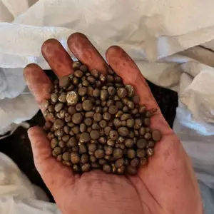 3-6mm压箱铁丸,压箱砂,钢丸,配重钢丸厂家晟博安