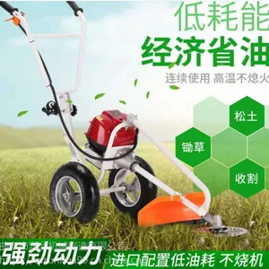 ��ݿ��ĳ��ݻ� ����«έ�ո�� �Ͻ�Ƭ��ƺ��ݻ�