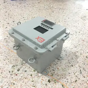 ���ƷǱ�����Ǳ��� BXK-Tϵ�зǱ��� ����ַ����Ǳ���
