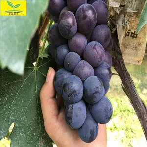 ���ҹ�Ӧ�޷������� ��ʪ�ʼ� �����ǿ 1����������������