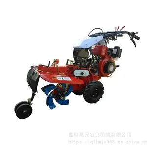 ���ͷ���186�Ϳ��������� ������ֲ������¢�� ������